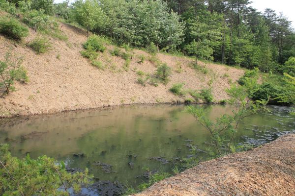 Pond Erosion Repair in Muncie