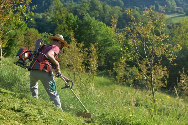 Cost of Slope Trimming in Muncie
